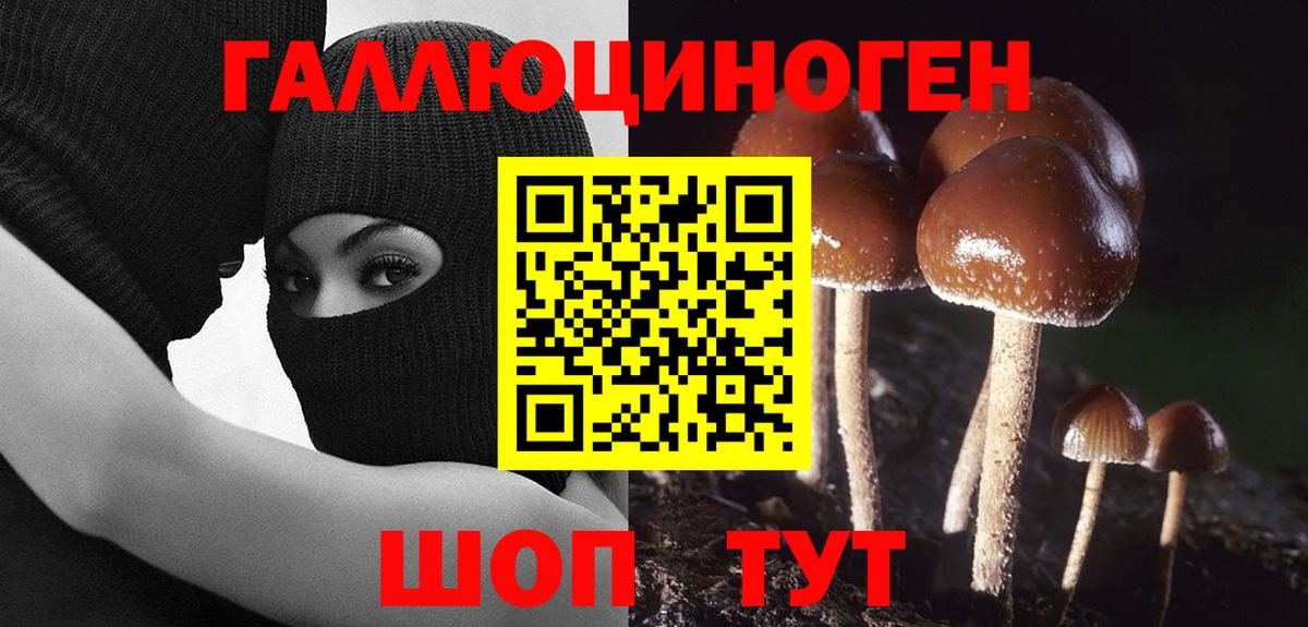 Псилоцибиновые грибы мицелий  Вход с VPN  Галлюциногенные грибы Magic Shrooms  Жигулёвск 